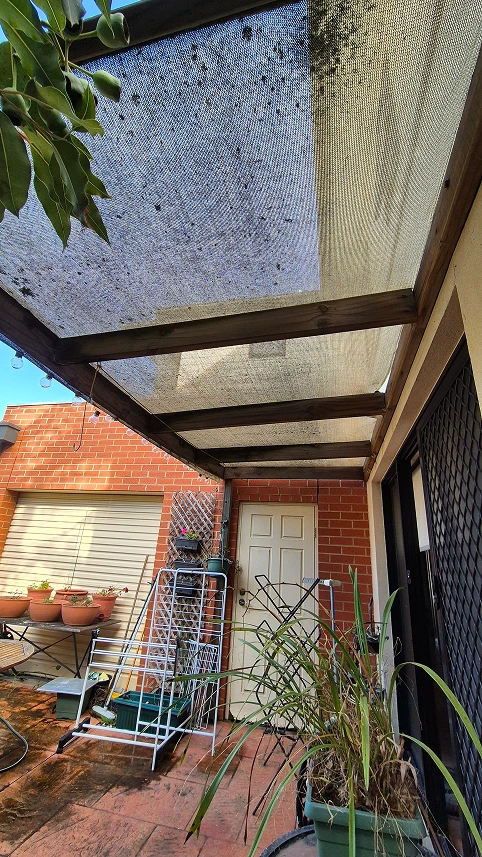 Back porch pergola before renovation at Aberfeldie with aged roofing and red brick exterior wall