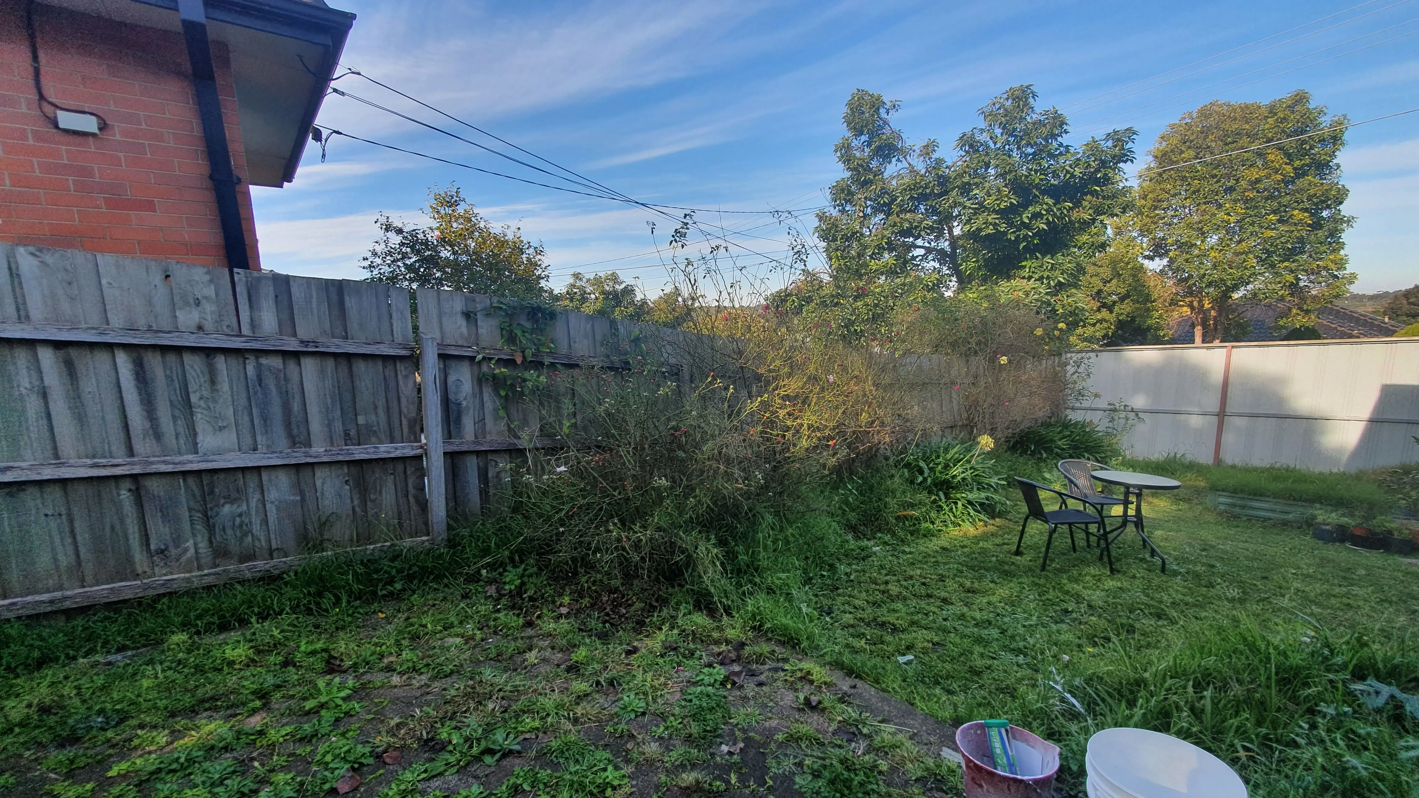 Untended suburban backyard with overgrown grass before renovation