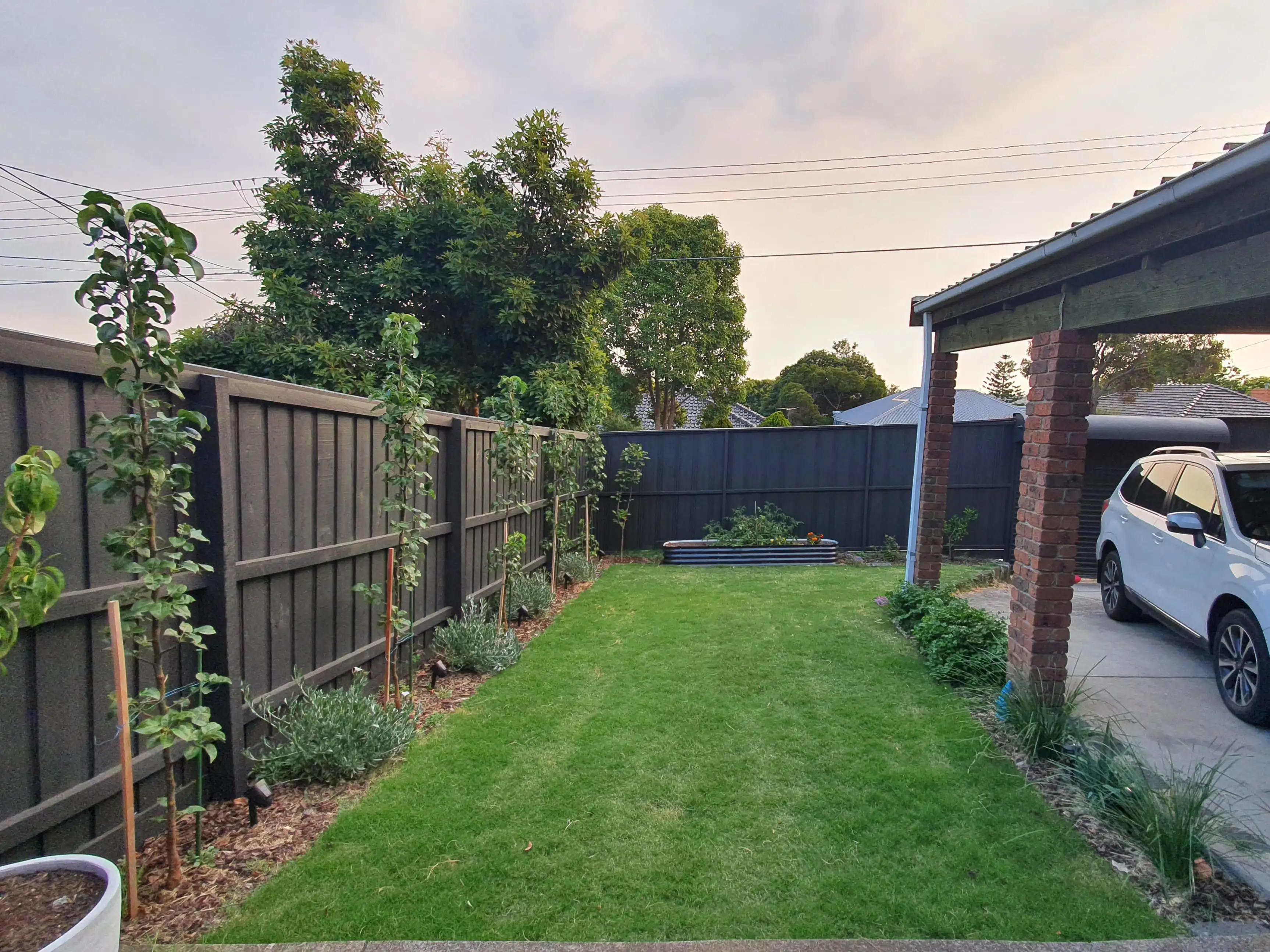 Landscaped backyard with new grey fence and manicured lawn