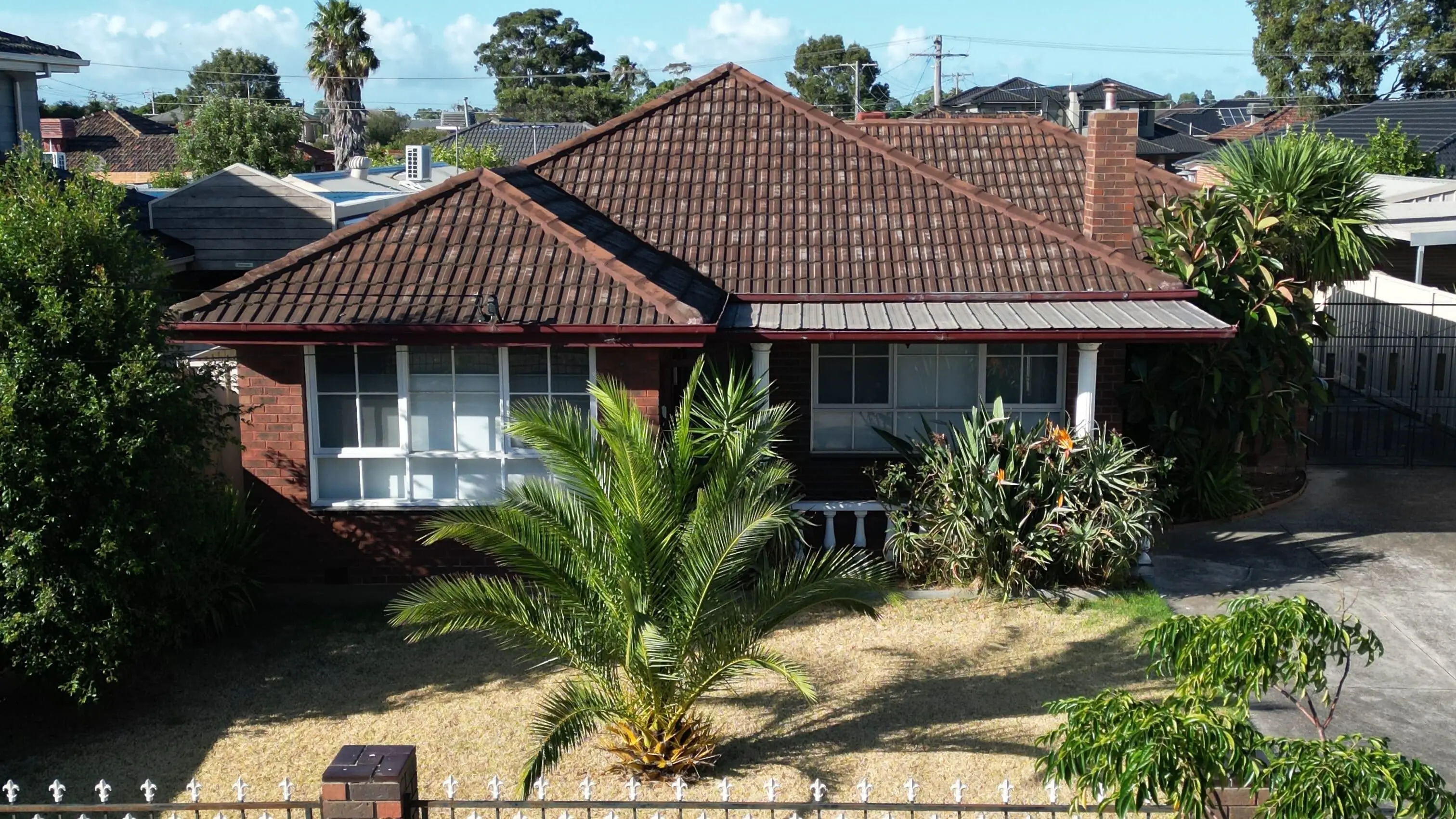 Brick house with brown roof and palm tree in front yard